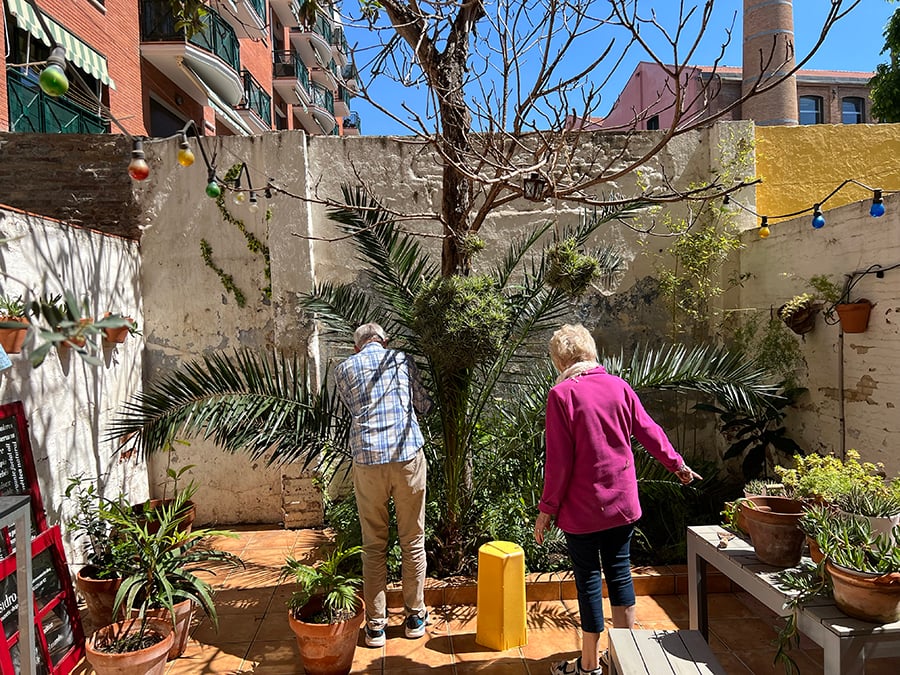 7-family-garden-help-renovation-indoi-store-courtyard-barcelona