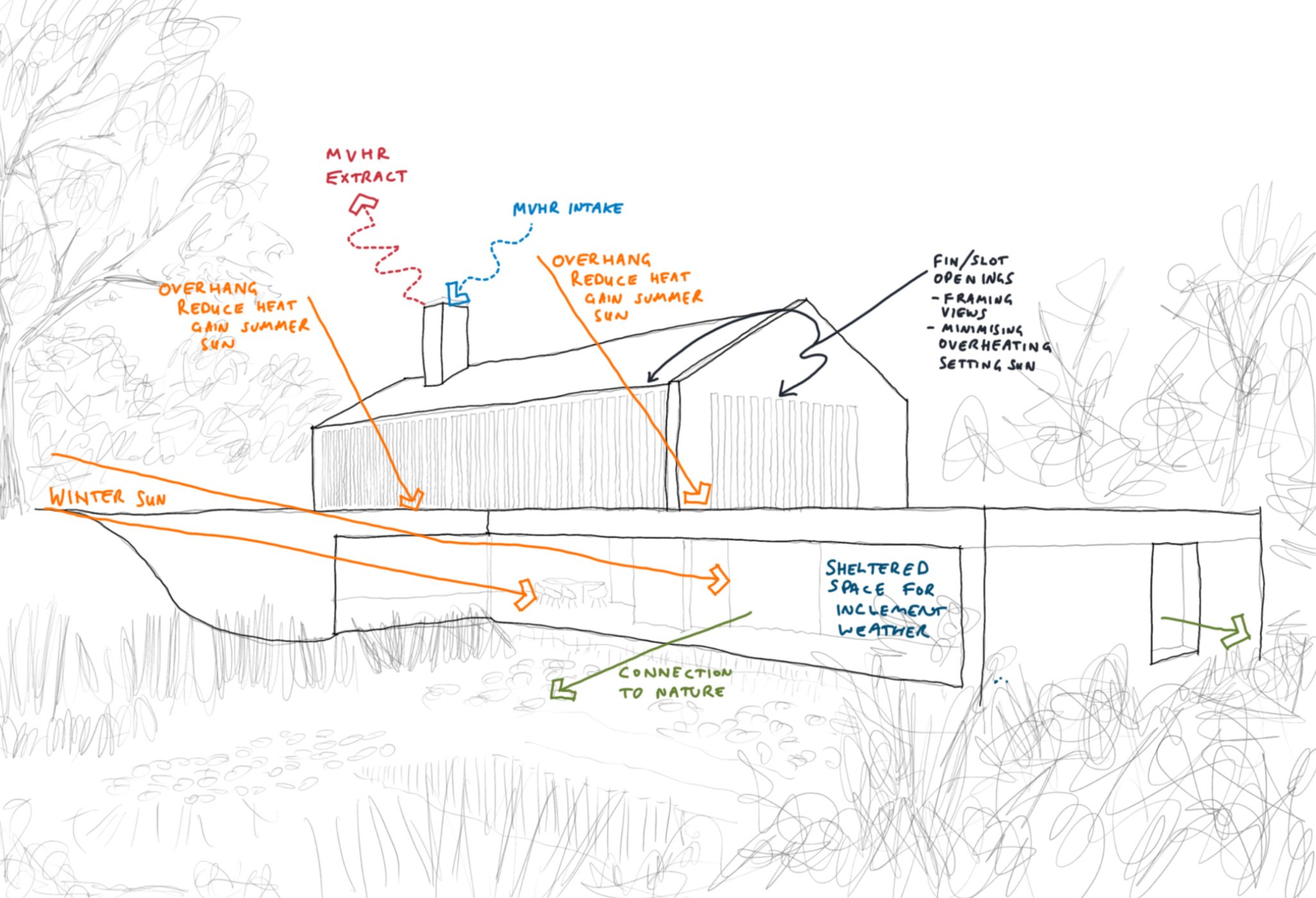 Start Smart: Why Feasibility is Key in the First Steps