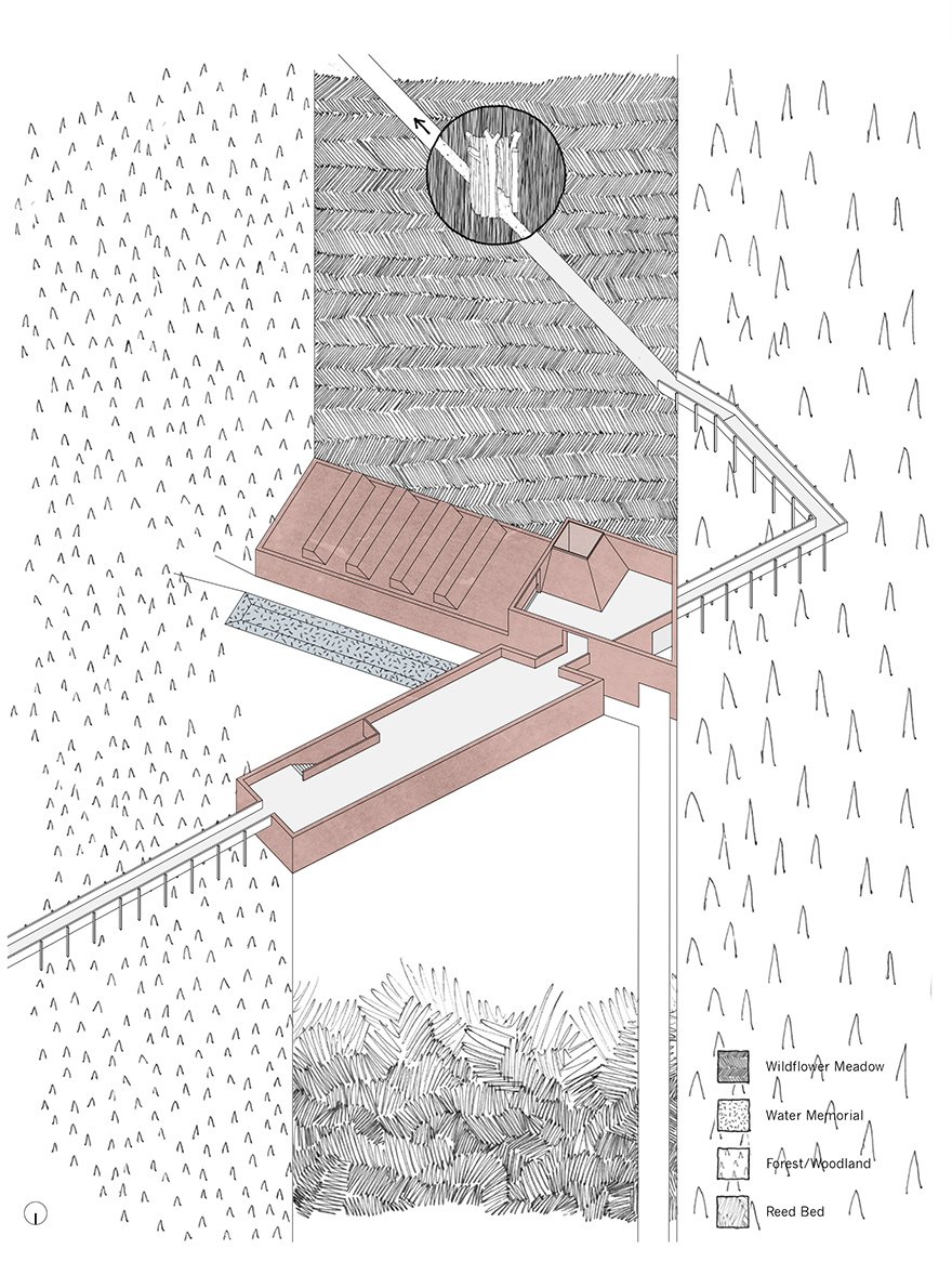 RISE-Design-Studio-Architects-Visitor-Hub-Langley-Vale-Woodland-Trust-3AF-01-3D-Axonometric
