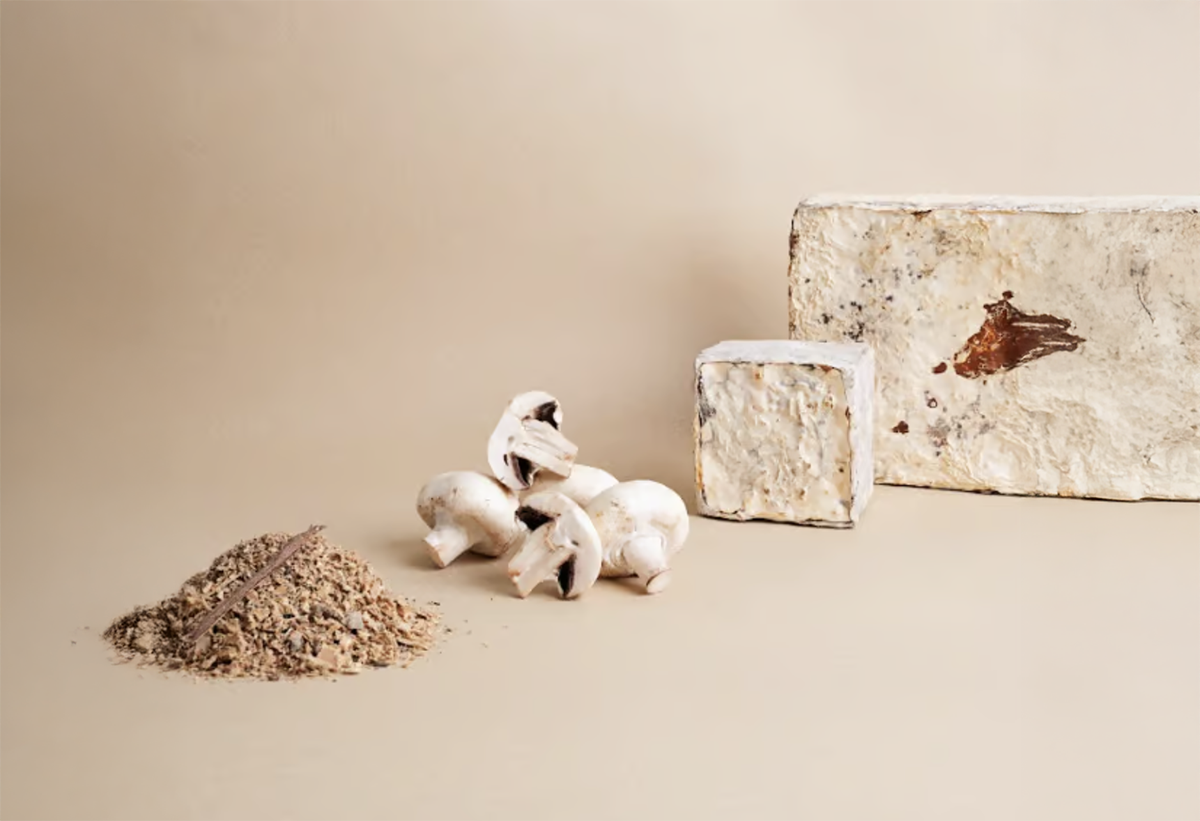 RISE-Design-Studio-Biobased-Materials-mycelium-insulation