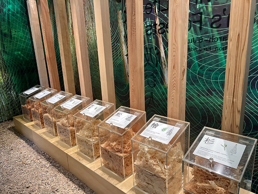 japanese-timber-species-wood-shavings-exhibit-japan-house-carpentry-R