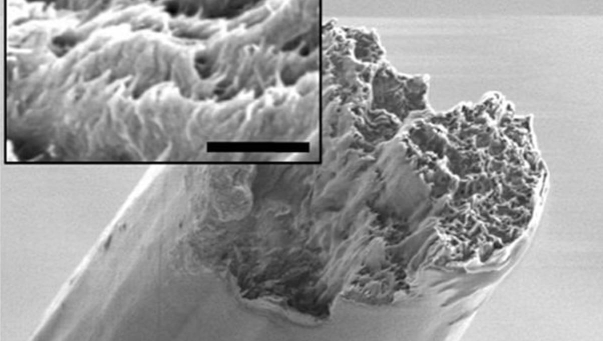 sustainable-wood-nanofibre-building-material-architecture