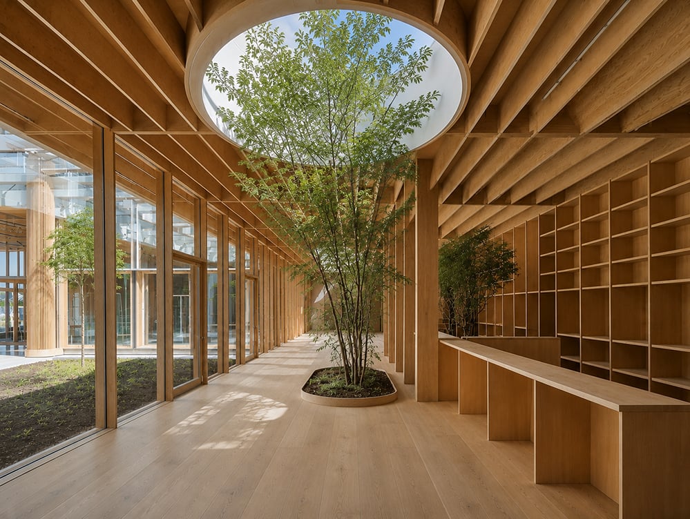 Timber-lined interior gallery with closely spaced rafters and columns, a circular roof oculus open to the sky, and a tree growing through a planted floor opening beneath it. Full-height glazing looks onto a courtyard, with pale timber shelving and a bench along the right wall.