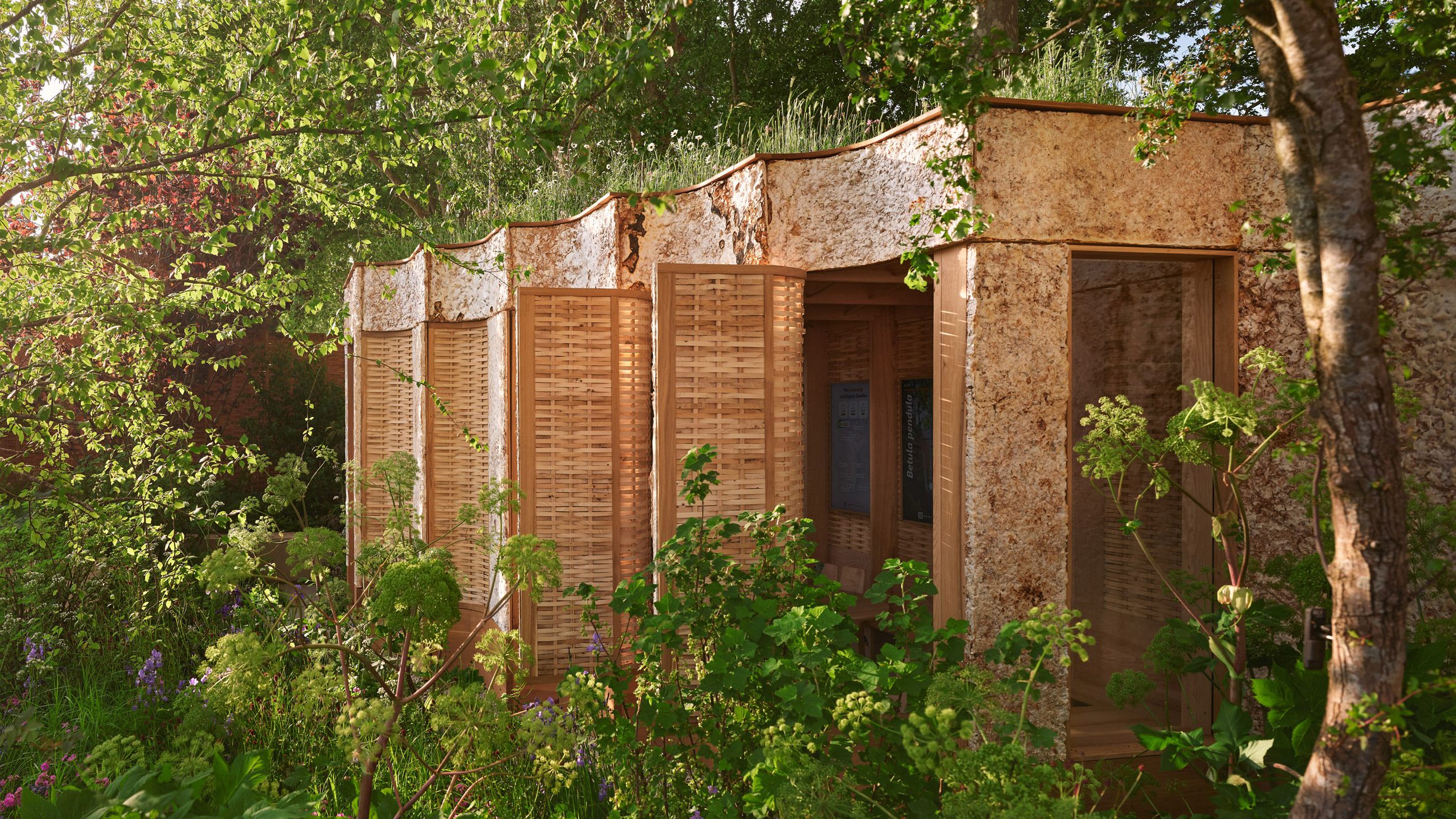 Exterior view of the Intelligent Garden pavilion at Chelsea Flower Show, designed by Studio Weave with Tom Massey and Sebastian Cox, featuring a fluted mycelium facade, woven ash panels and lush planting that inspires RISE Design Studio’s sustainable architecture.